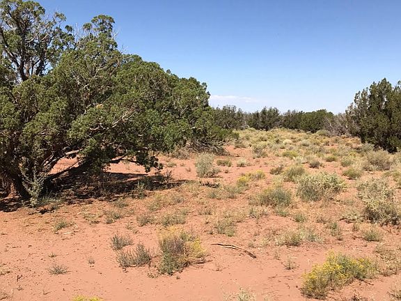 3rd image of 45 County Road 9005 N