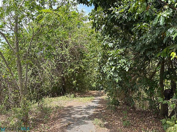 2nd image of Km 1.2 Pr #803