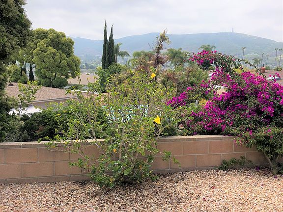 Back Yard Views, low fence. Call number on screen