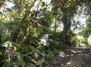 Japanese Camp Rd LOT 45, Pahoa, HI 96778