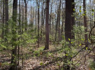 Arthur St, Topinabee, MI 49791