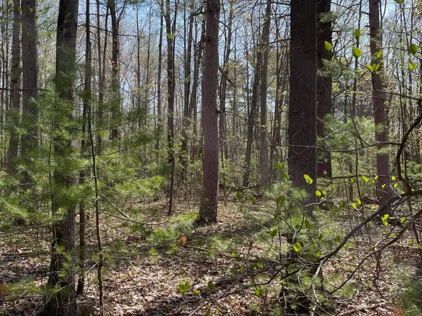 Arthur St, Topinabee, MI 49791