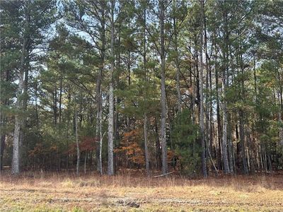 LOT 1 Windblow Rd, Jackson Springs, NC, 27281
