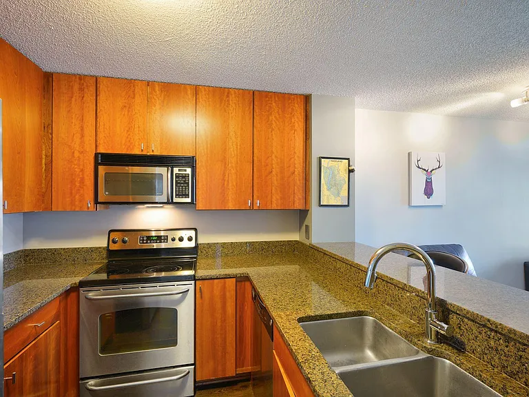 401 S 1st St #603 — Photo 8