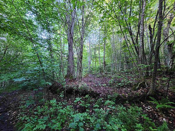 4th image of 0000 Hampshire Woods Loop #R013-0007-0033