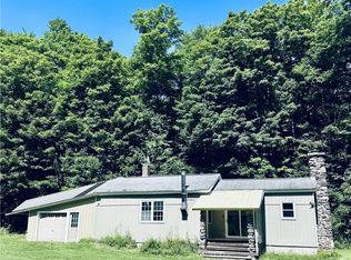 1191 Peakes Brook Rd, Delhi, NY 13753