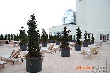 Sold by Modern Spaces