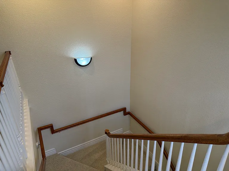 6833 Urubu St — Photo 43