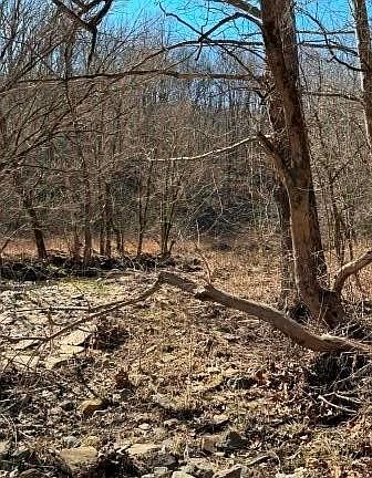 5th image of 0 Brush Run Rd