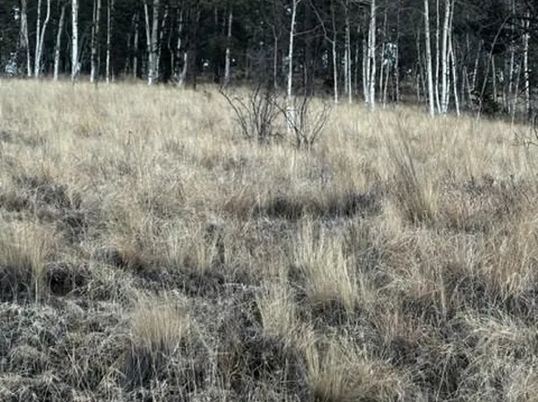 200 Beaver Pond Rd, Divide, CO 80814