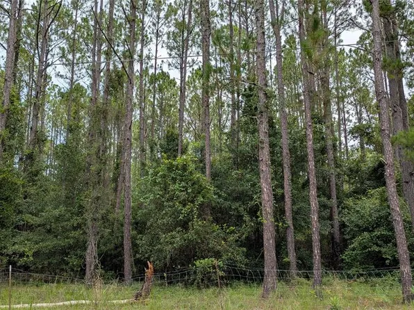 SE 3rd Pl Lot 11, Gainesville, FL 32641