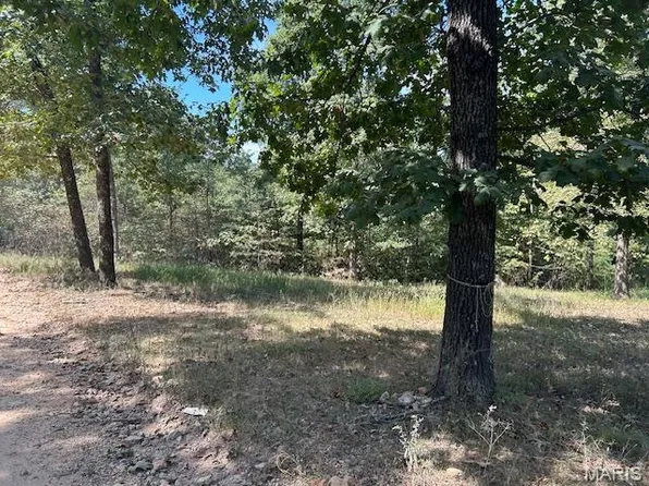 1087 Main St, Annapolis, MO 63620