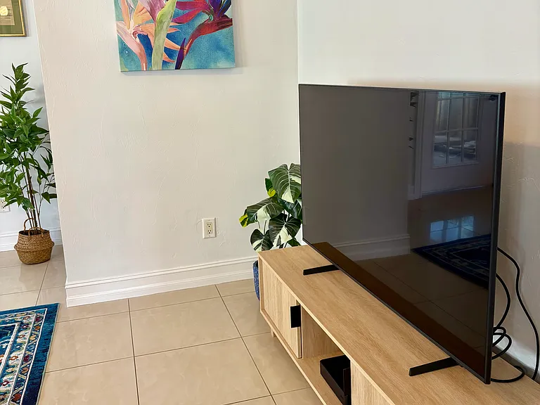 Smart TV with internet access to use your streaming subscriptions