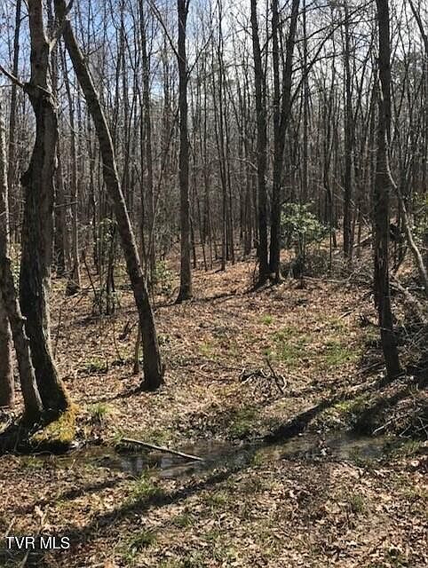 2nd image of 897 Parkstown Rd