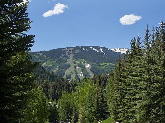 3rd image of 9 Beaver Creek Blvd #7