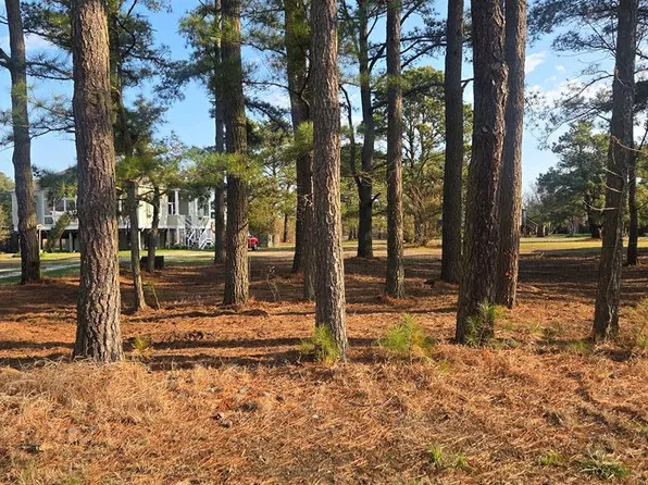 LOT 111 Hibiscus Dr, Chincoteague Island, VA 23336