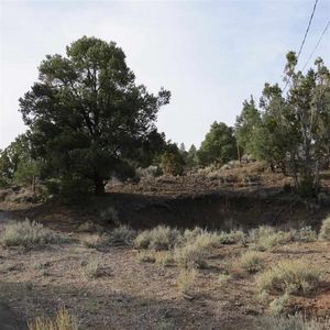 2311 Grizzley Rd, Reno, NV, 89521
