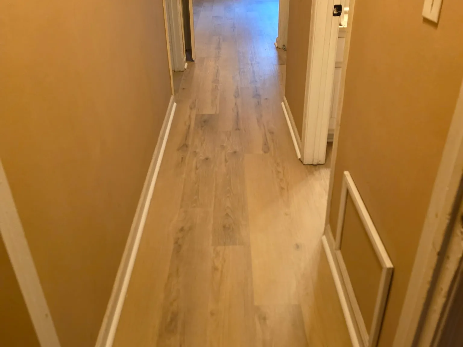 2 bed, 1000 sqft, $1,500 — Photo 4