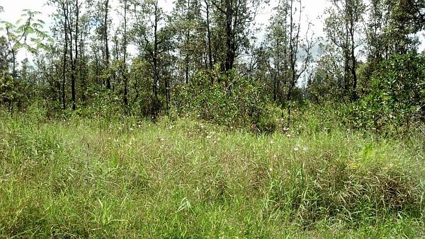 1st image of 26th Ave Lot 827