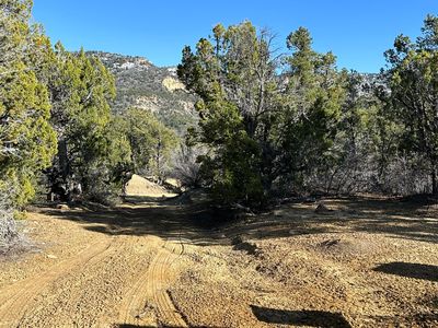 In North Fork Sub Cougar Cyn, Mount Carmel, UT, 84755