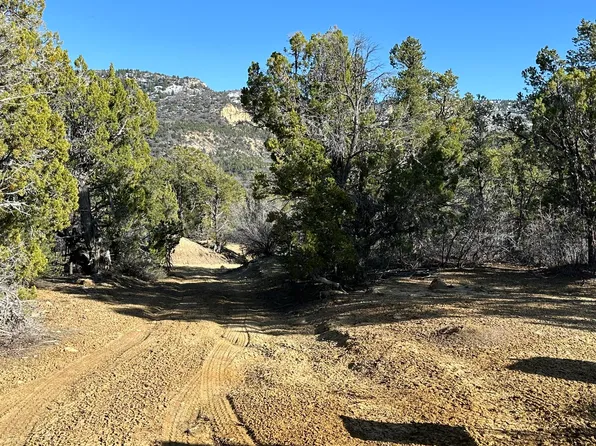 In North Fork Sub Cougar Cyn, Mount Carmel, UT 84755