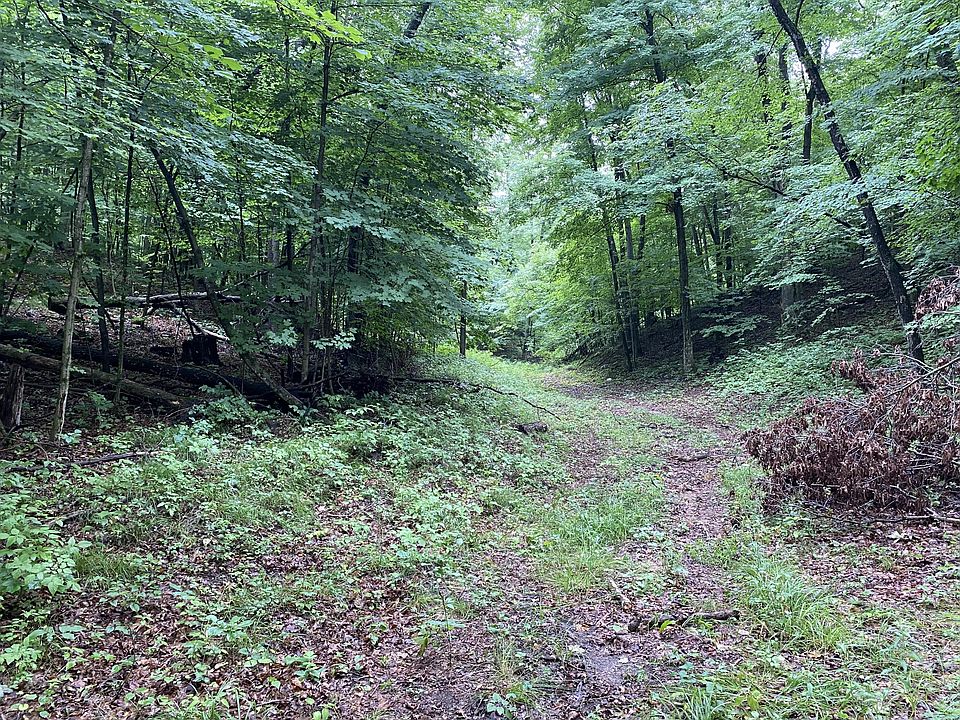 0 Flat River Trl, Belding, MI 48809 Zillow