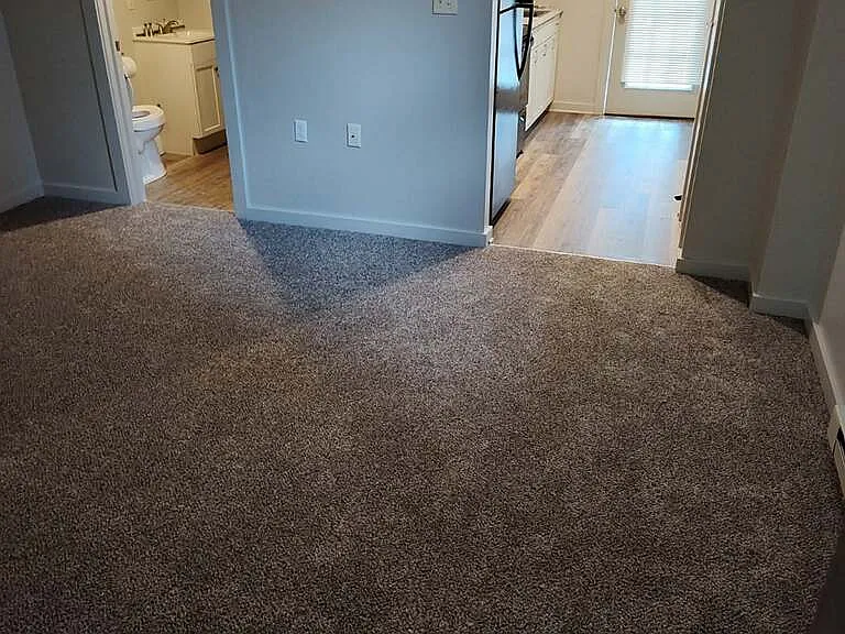 Living Room (bathroom view on left, kitchen and front door view on right)