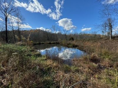 1119 Arnold Leach Rd, Horse Branch, KY, 42349