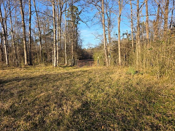 3rd image of 39.088 Ac Hwy #190-E