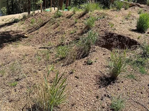 67 Gerka Ln, Florissant, CO 80816