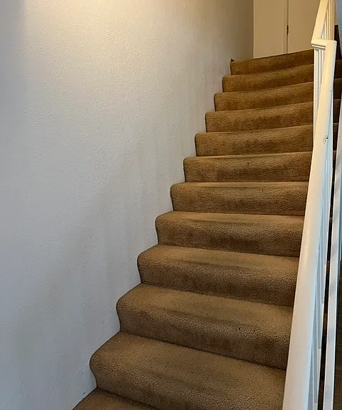 316 Park Place Dr — Photo 11