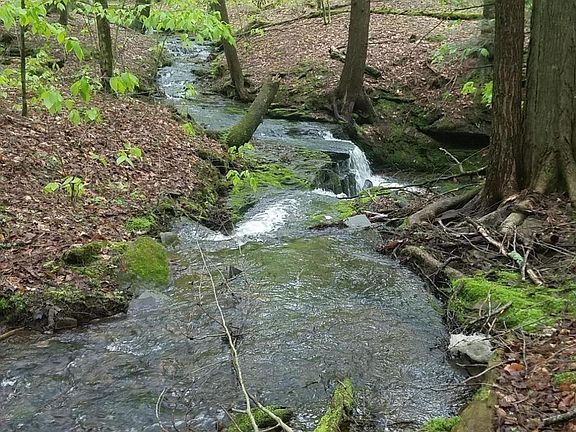 3rd image of 289 Cochecton Tpke
