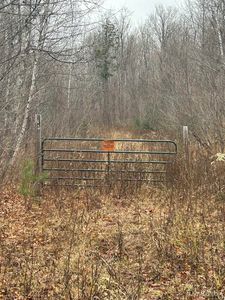 Old Nanny Rd, Bessemer, MI, 49911