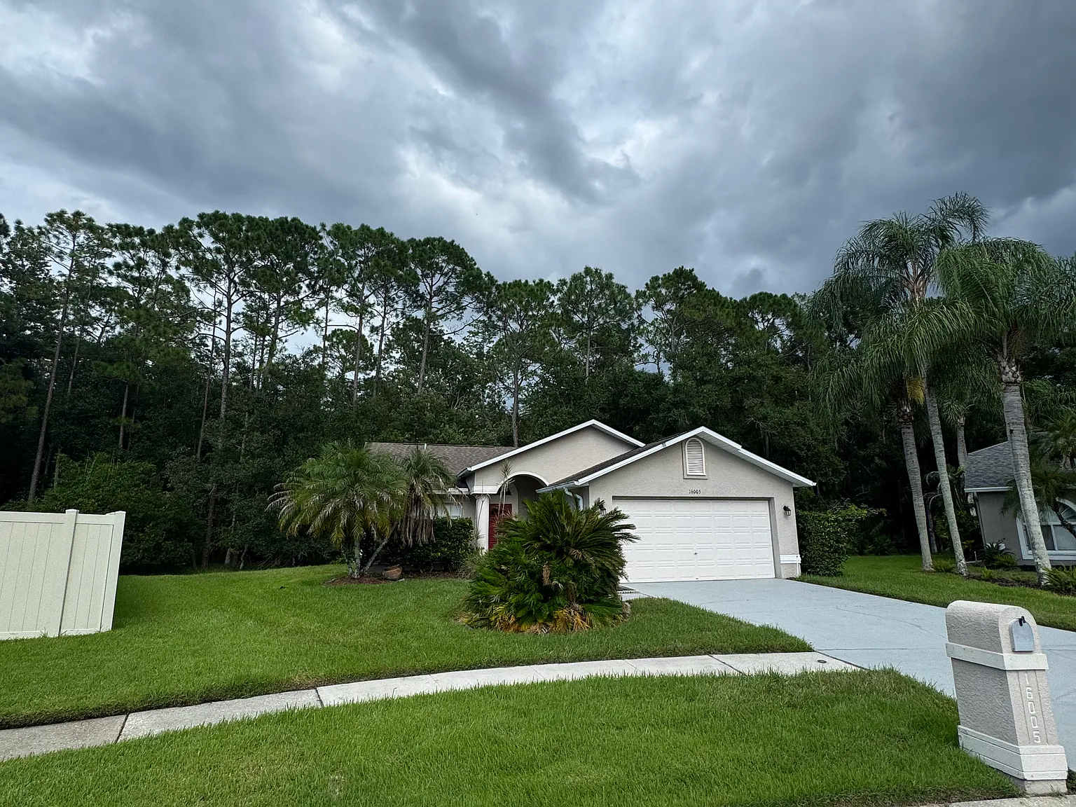 3 bed, 1560 sqft, $3,500 — Photo 2