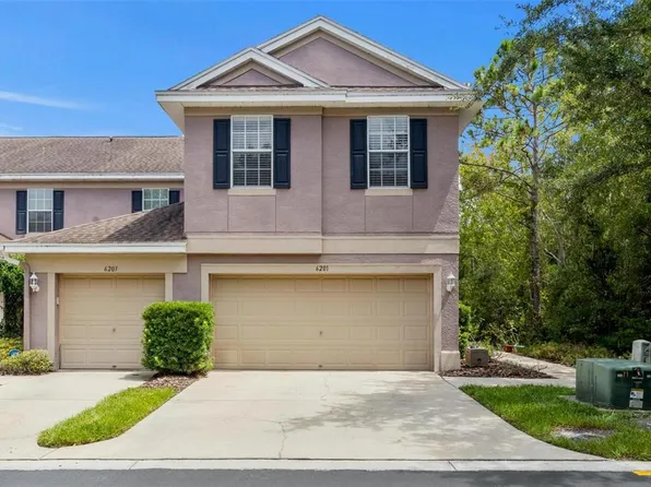 6201 Duck Key Ct, Tampa, FL 33625