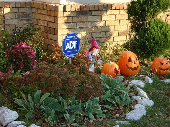 Landscaping at Halloween