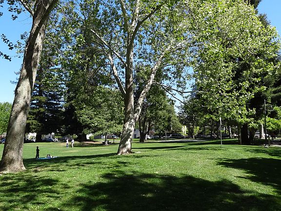 Johnson park across the street