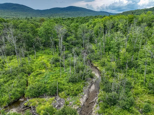 0 Center Hill Road, Weld, ME 04285