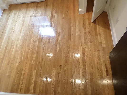 Rented by CoSo Apartments | media 72