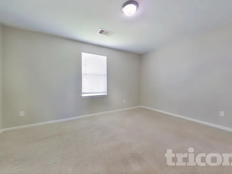 421 Palomino Stand Dr — Photo 12