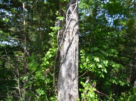 4th image of 750AC Beauchamp Rd