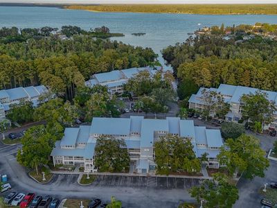 2599 Dolly Bay Dr APT 308, Palm Harbor, FL, 34684