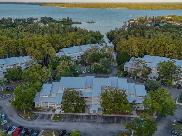 2599 Dolly Bay Dr APT 308, Palm Harbor, FL 34684