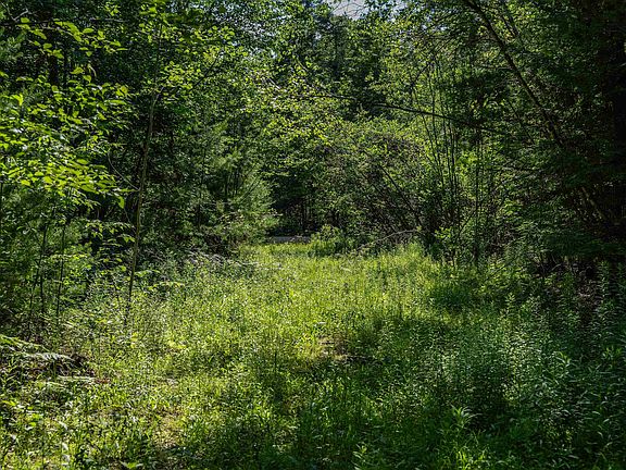 2nd image of Lot 4.2 Tommy Lot Road