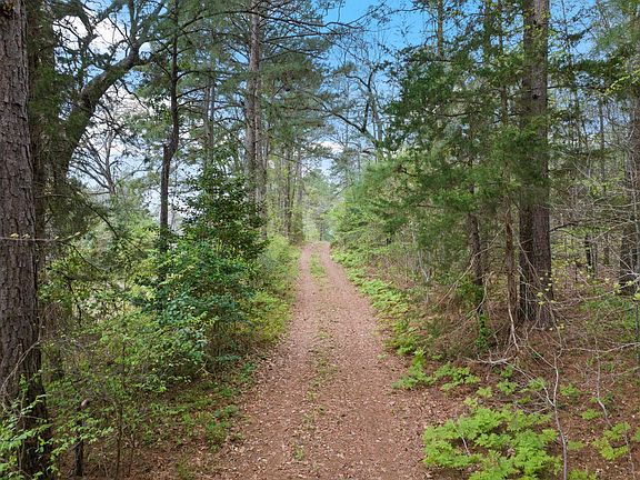 3rd image of County Road 2920