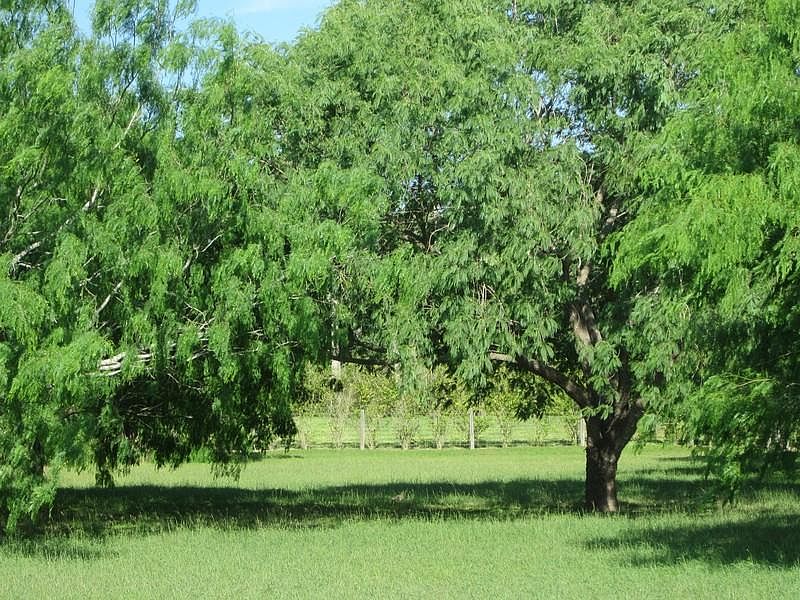 2nd image of 27969 Doan Rd