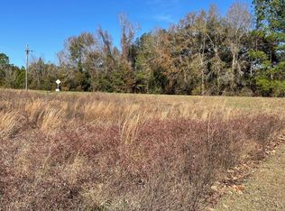 Tbd Nw Little Cat Rd, Madison, FL 32340