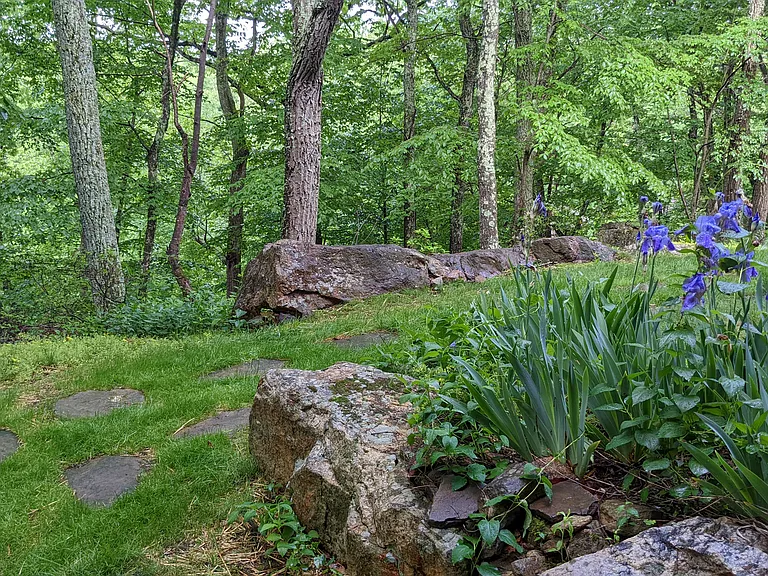 Mountain Laurel Ln — Photo 17