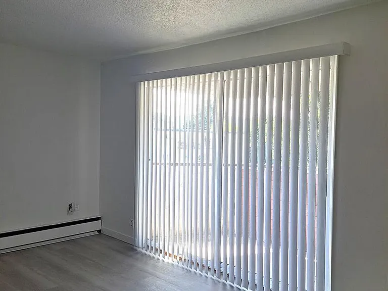 2541 Dingwall St #201 — Photo 12