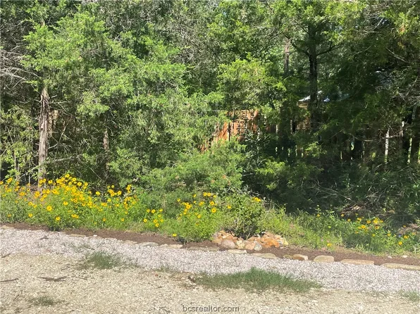 213 Overlook Loop, Somerville, TX 77879